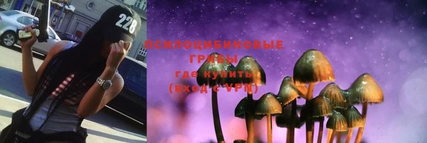 тгк Лиски