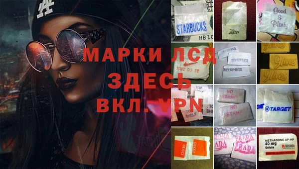 гидропоника Медногорск