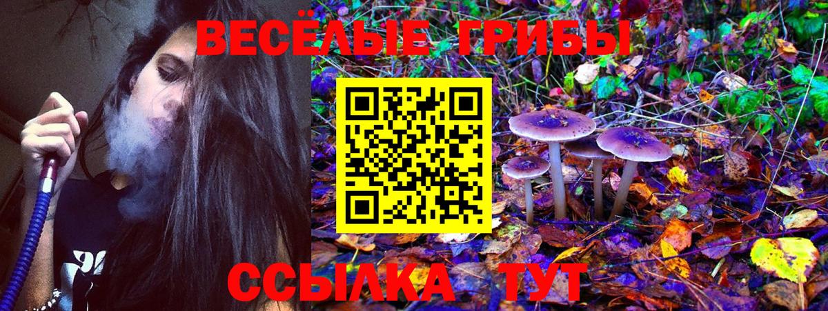 Галлюциногенные грибы Psilocybe Строитель